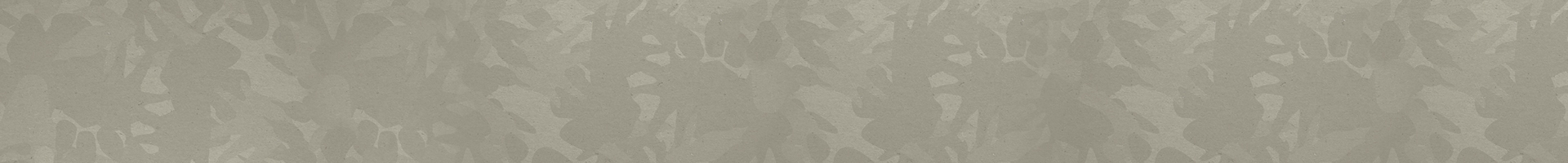 Section Background