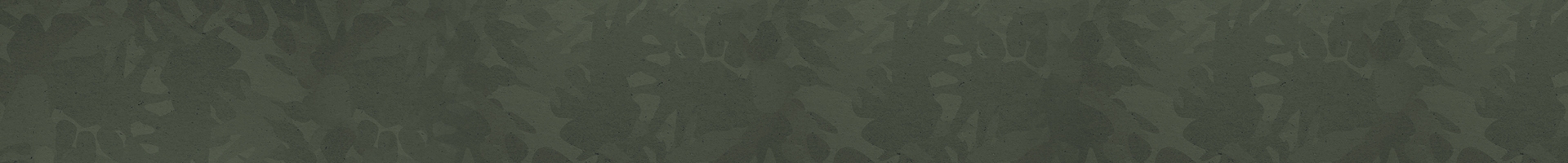 Section Background